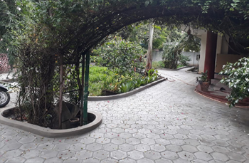 chennai swimming pool designers, garden maintenance in chennai,chennai landscape designers, chennai swimming pool designers,landscape in chennai,swimming pool maintenance in chennai,chennai garden maintenance,chennai landscape architects,